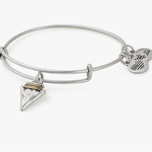 Alex and Ani Silver and Gold Charm Bracelet